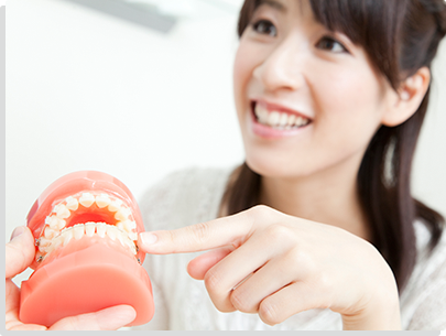 中高生から成人までの歯並び改善をサポートします Orthodontic dentistry